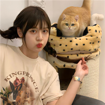 新疆伴游女生星晓莉的资料